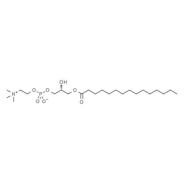 1-pentadecanoyl-2-hydroxy-sn-glycero-3-phosphocholine