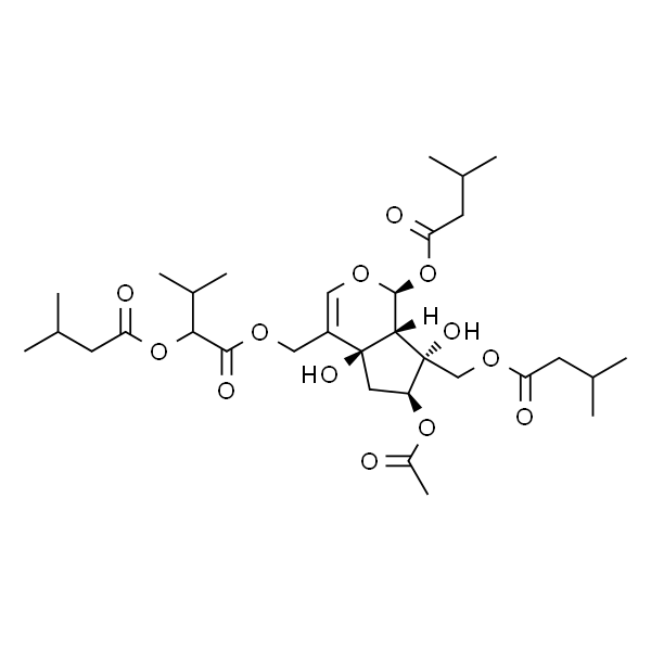 Jatamanvaltrate B