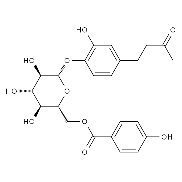 Salviaplebeiaside