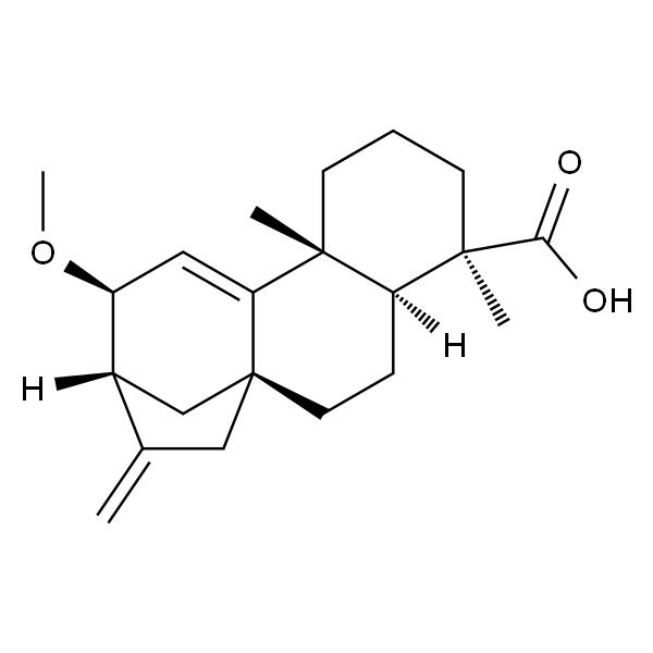 12α-Methoxygrandiflorenic acid