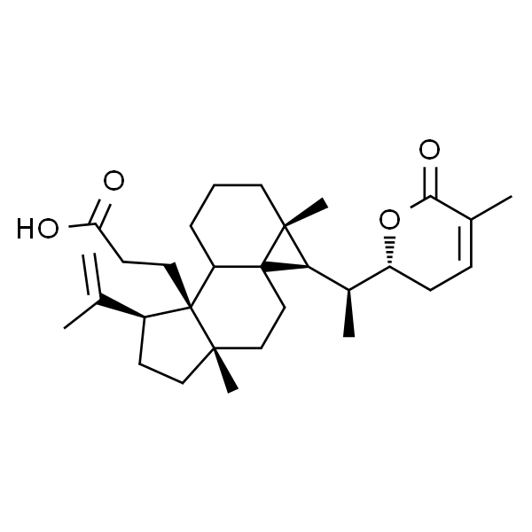 Schisanlactone E