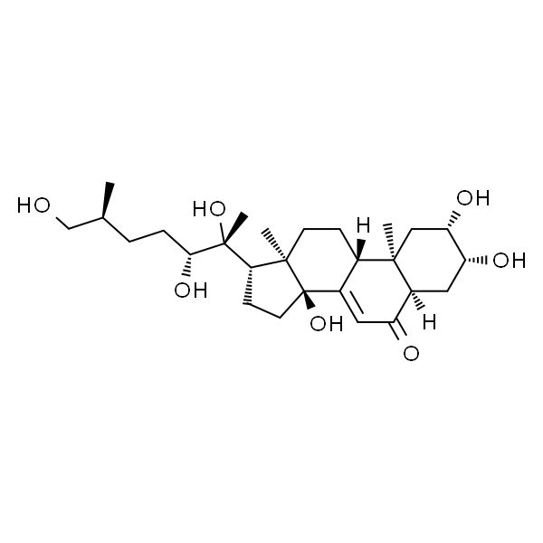 25S-Inokosterone