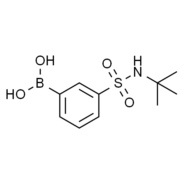 3-[N-(tert-Butyl)sulfamoyl]phenylboronic Acid