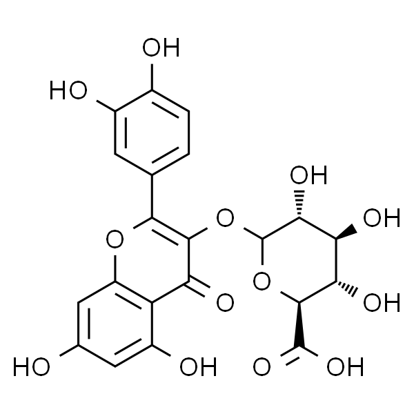 Quercetin-3-O-glucuronide