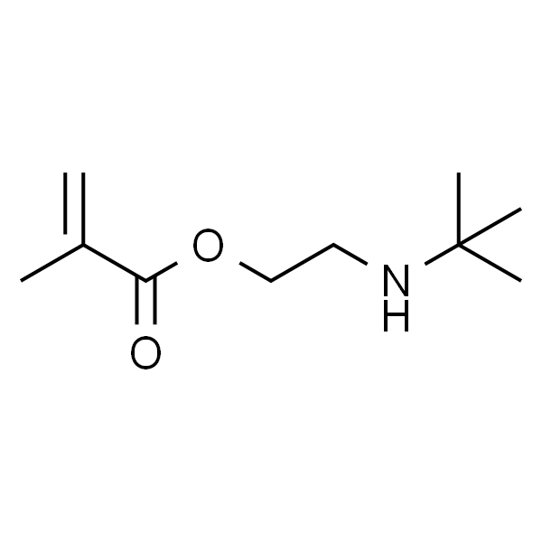 2-(tert-Butylamino)ethyl Methacrylate