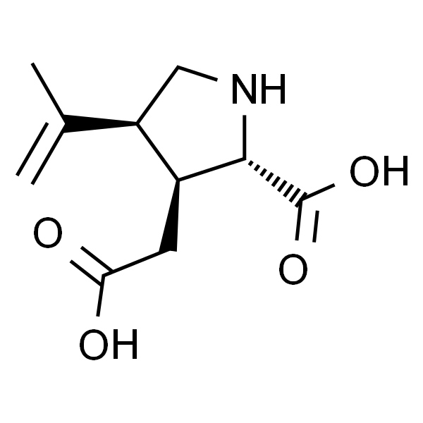 Kainic acid