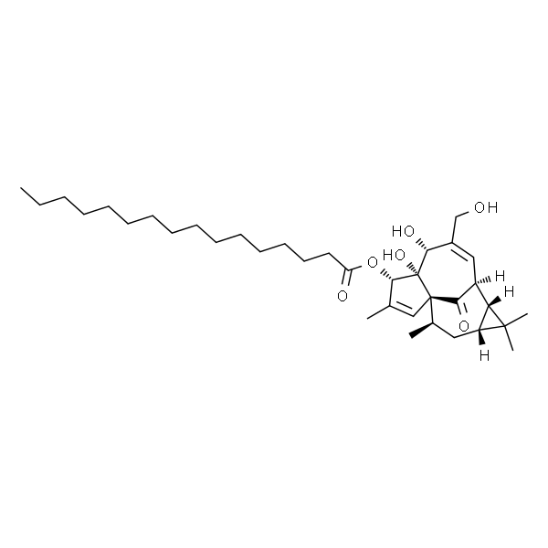 Ingenol 3-palmitate