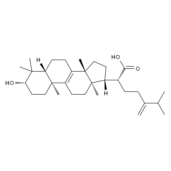 Eburicoic acid