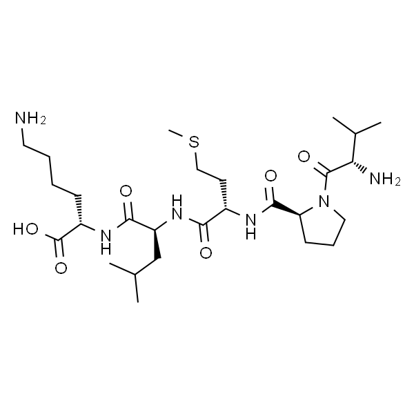 Bax inhibitor peptide V5