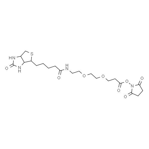 9-BiotinlaMino-4,7-dioxanonanoic acid N-hydroxysucciniMidyl ester