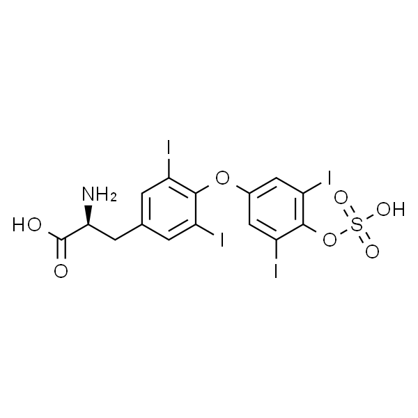 Thyroxine 4’-O-Sulfate