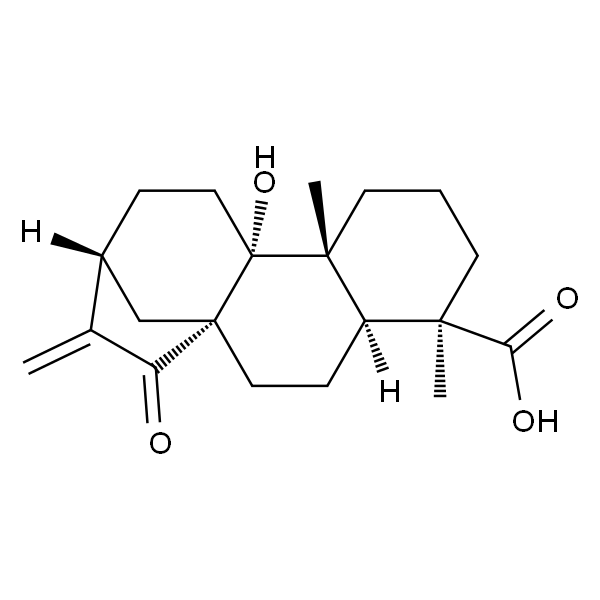 ent-9-Hydroxy-15-oxokaur-16-en-19-oic acid