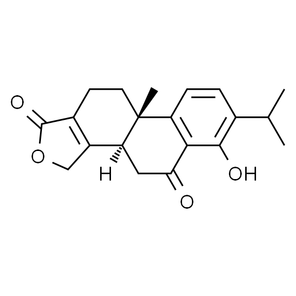 triptonolide