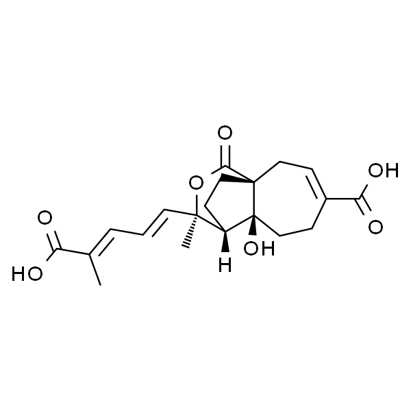 Deacetylpseudolaric acid C2