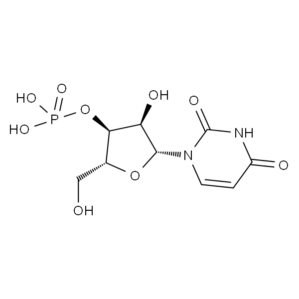 URIDYLIC ACID