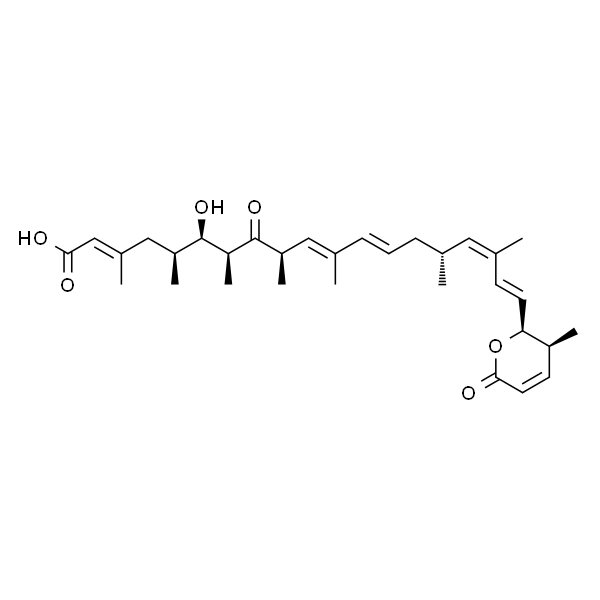 Leptomycin A