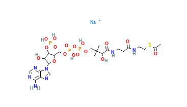 Acetyl coenzyme A sodium salt