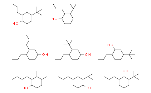 Nuclease S1 from Aspergillus oryzae