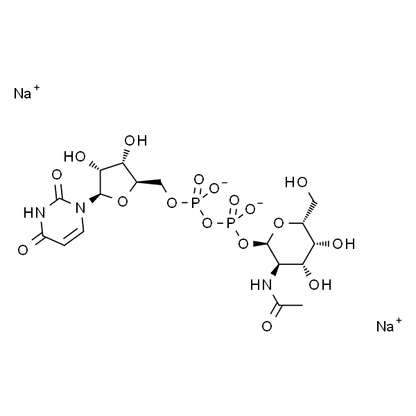 Uridine 5'-diphospho-N-acetylgalactosamine disodium salt >=98%