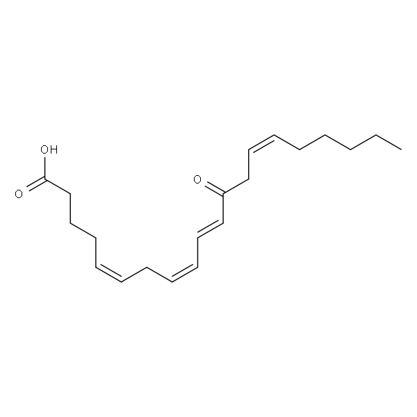 12-oxo-5(Z),8(Z),10(E),14(Z)-eicosatetraenoic acid