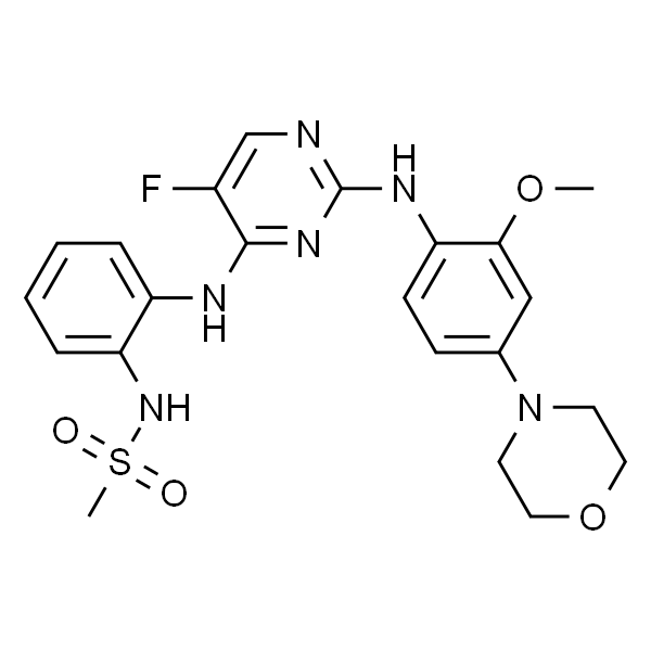 CZC-25146