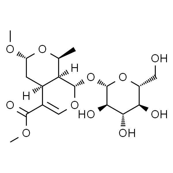 7-O-Methylmorroniside