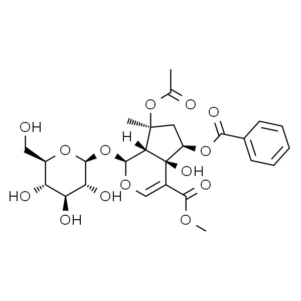 6-O-Benzoylphlorigidoside B