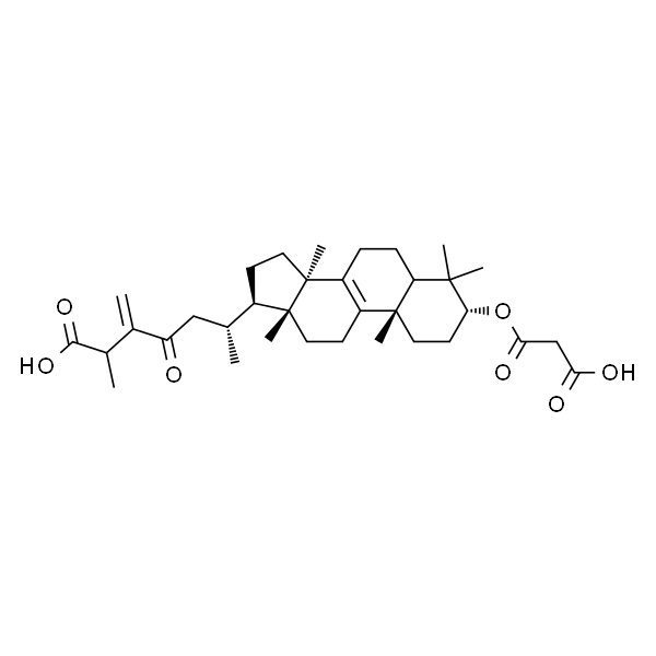 24(31)-Dehydrocarboxyacetylquercinic acid