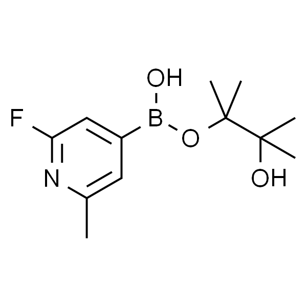 2-Fluoro-6-methyl-4-(4,4,5,5-tetramethyl-1,3,2-dioxaborolan-2-yl)pyridine