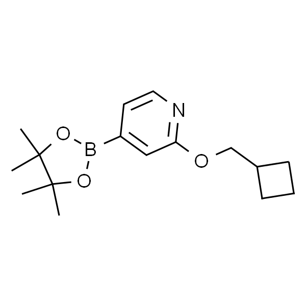 2-(cyclobutylmethoxy)-4-(4,4,5,5-tetramethyl-1,3,2-dioxaborolan-2-yl)pyridine