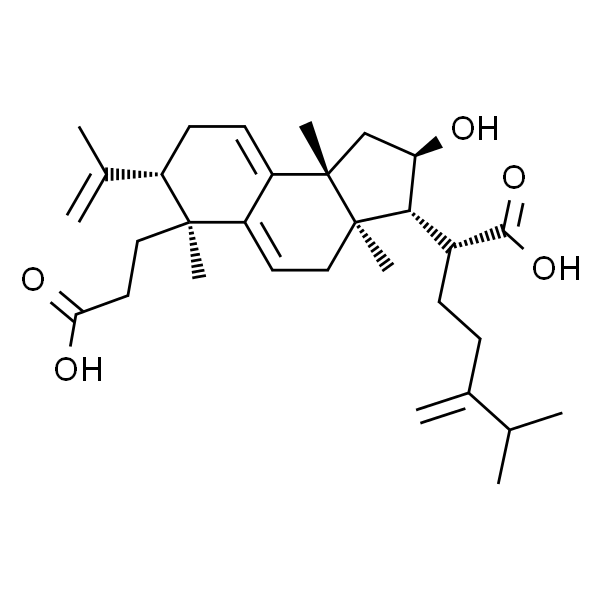 poricoic acid A