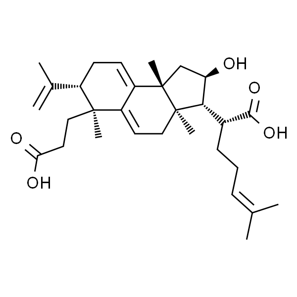 poricoic acid B