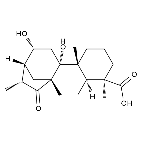 Pterisolic acid E