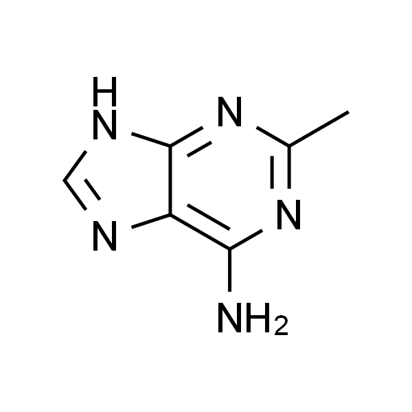 2-Methyl-1H-purin-6-amine