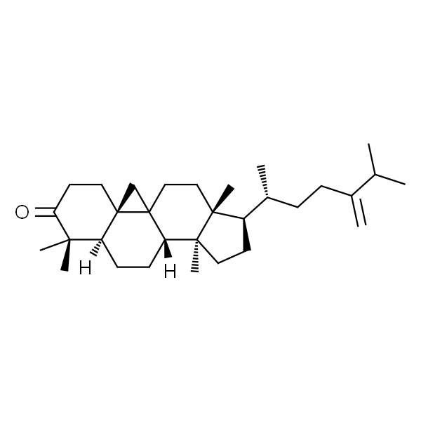 24-Methylenecycloartanone