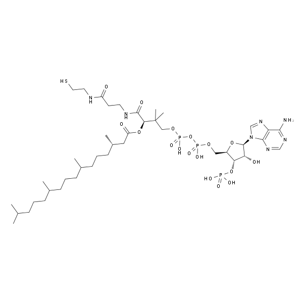 3,7,11,15-Tetramethylhexadecanoyl Coenzyme A (NH4)3 salt