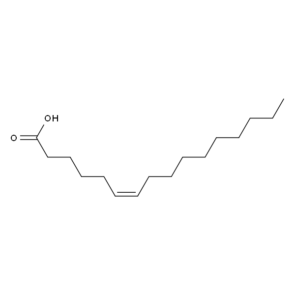 6(Z)-Hexadecenoic acid