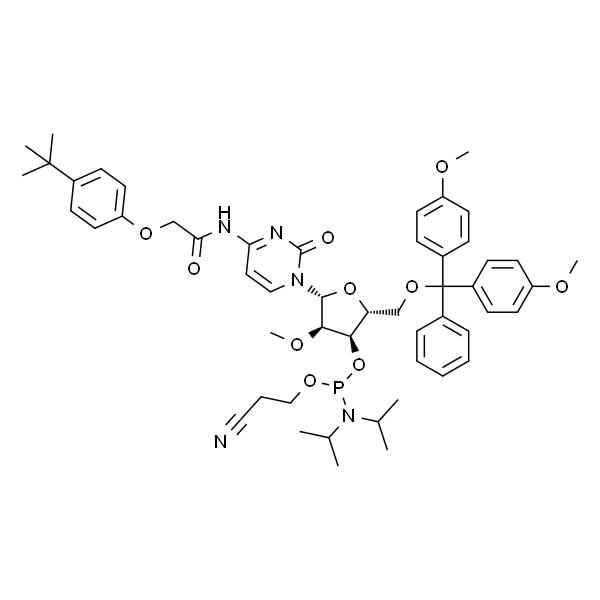 5'-O-(4,4-Dimethoxytrityl)-N-[[4-(tert-butyl)phenoxy]acetyl]-2'-O-methylcytidine-3'-(2-cyanoethyl-N,N-diisopropyl)phosphoramidite