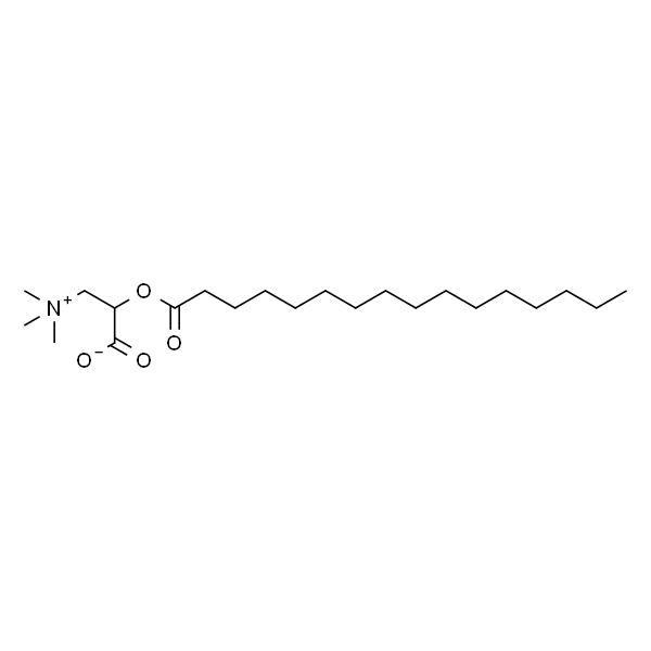 palmitoyl L-carnitine