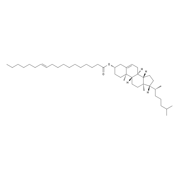 Cholesteryl 11(E)-Vaccenate