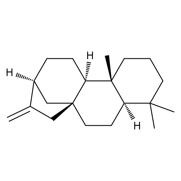 (-)-Phyllocladene