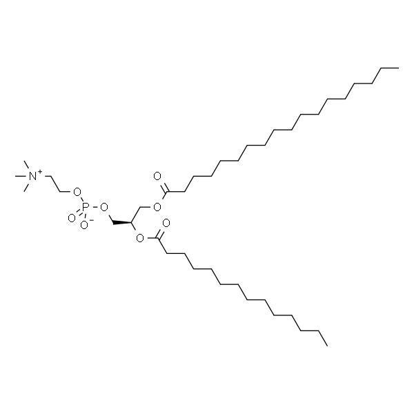 1-stearoyl-2-myristoyl-sn-glycero-3-phosphocholine