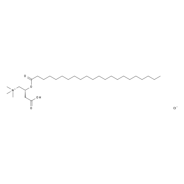 Docosanoyl-L-Carnitine HCl salt