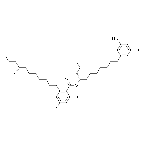 Integracin B