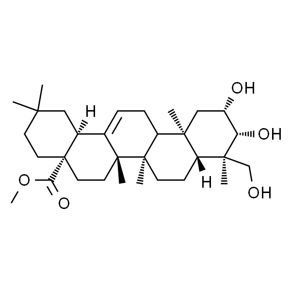 Bayogenin methyl ester