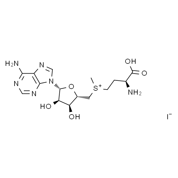 S-ADENOSYL-L-METHIONINE IODIDE SALT