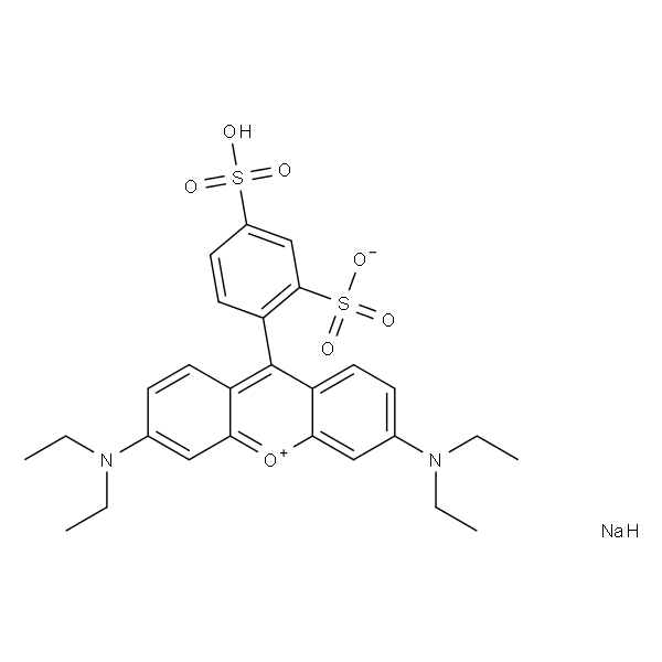 Sulforhodamine B