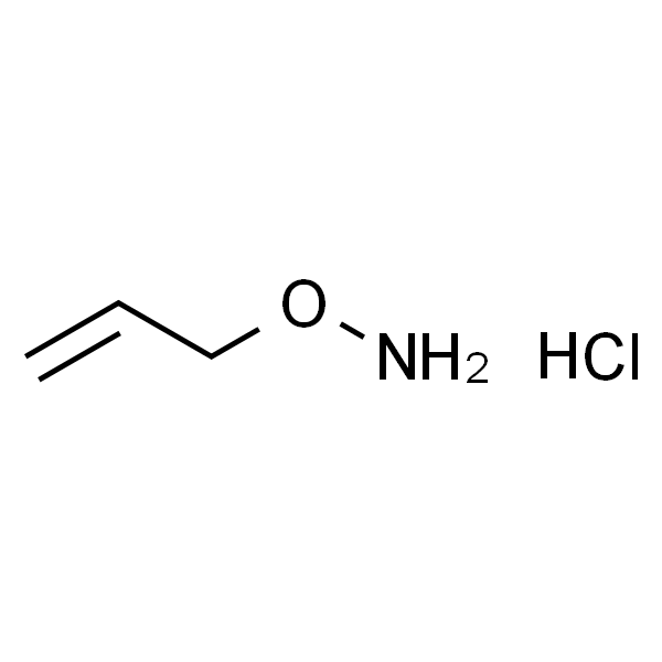 O-Allylhydroxylamine Hydrochloride