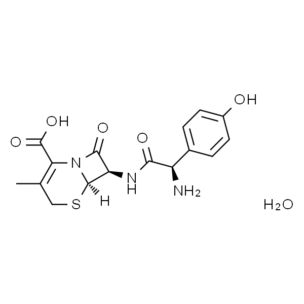 Cefadroxil monohydrate