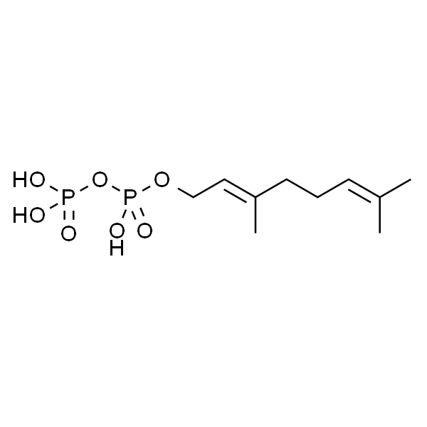 Geranyl pyrophosphate ammonium salt 1 mg/mL in methanol (:aqueous 10 mM NH4OH (7:3)), >=95% (TLC)